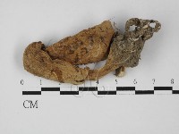 登錄號:F0027419藏品圖，第1張