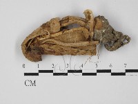 登錄號:F0027419藏品圖，第3張