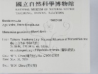 登錄號:F0027420藏品圖，第2張