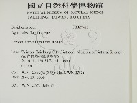 登錄號:F0027421藏品圖，第2張