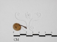 登錄號:F0027421藏品圖，第3張