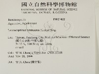 登錄號:F0027422藏品圖，第2張