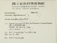 登錄號:F0027423藏品圖，第2張