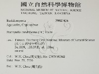 登錄號:F0027424藏品圖，第2張