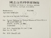 登錄號:F0027426藏品圖，第2張