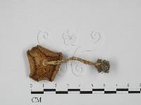 登錄號:F0027427藏品圖，第3張