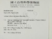 登錄號:F0027429藏品圖，第2張