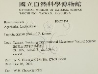 登錄號:F0027431藏品圖，第2張