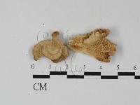 登錄號:F0027437藏品圖，第1張