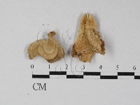 登錄號:F0027437藏品圖，第3張