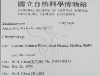 登錄號:F0027438藏品圖，第2張