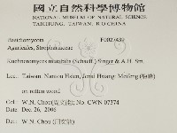 登錄號:F0027439藏品圖，第2張