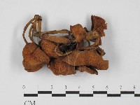 登錄號:F0027439藏品圖，第1張