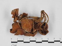 登錄號:F0027439藏品圖，第3張