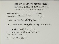 登錄號:F0027440藏品圖，第2張