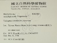 登錄號:F0027442藏品圖，第2張
