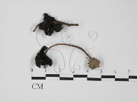 登錄號:F0027444藏品圖，第1張