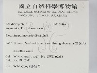 登錄號:F0027445藏品圖，第2張