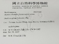登錄號:F0027446藏品圖，第2張