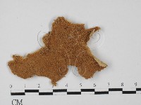 登錄號:F0027447藏品圖，第1張