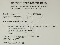 登錄號:F0027448藏品圖，第2張