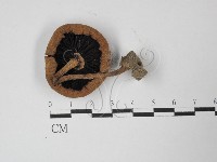 登錄號:F0027448藏品圖，第3張