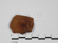 登錄號:F0027449藏品圖，第1張