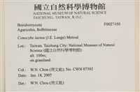 登錄號:F0027450藏品圖，第4張