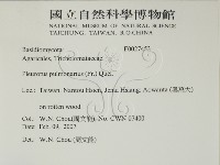 登錄號:F0027453藏品圖，第2張