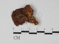 登錄號:F0027453藏品圖，第1張