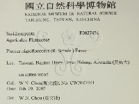 登錄號:F0027454藏品圖，第2張