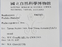 登錄號:F0027455藏品圖，第2張