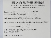 登錄號:F0027456藏品圖，第2張
