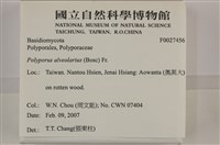 登錄號:F0027456藏品圖，第3張