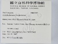 相鄰小孔菌藏品圖，第2張