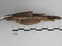 登錄號:F0027458藏品圖，第1張