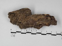 登錄號:F0027458藏品圖，第3張