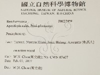 筍殼菌屬藏品圖，第2張