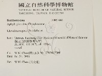 登錄號:F0027463藏品圖，第2張