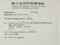 登錄號:F0027464藏品圖，第2張