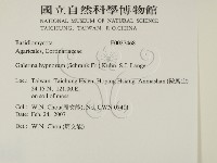 登錄號:F0027468藏品圖，第2張