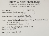 登錄號:F0027470藏品圖，第2張