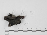 登錄號:F0027470藏品圖，第1張