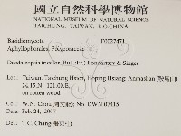 登錄號:F0027471藏品圖，第2張