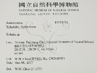 炭角菌屬藏品圖，第2張