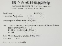 登錄號:F0027474藏品圖，第2張