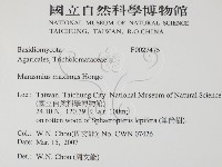 登錄號:F0027475藏品圖，第2張