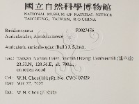 登錄號:F0027476藏品圖，第2張