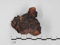 登錄號:F0027476藏品圖，第1張