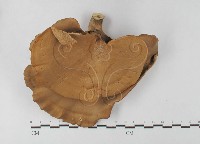 登錄號:F0027477藏品圖，第1張